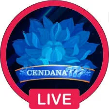 CENDANA777 - Kegelapan di Dalam Hutan